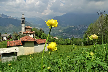 Al Perello sul sent. CAI 514 e al Monte Castello da casa, da Zogno il 23 maggio 2019 - FOTOGALLERY